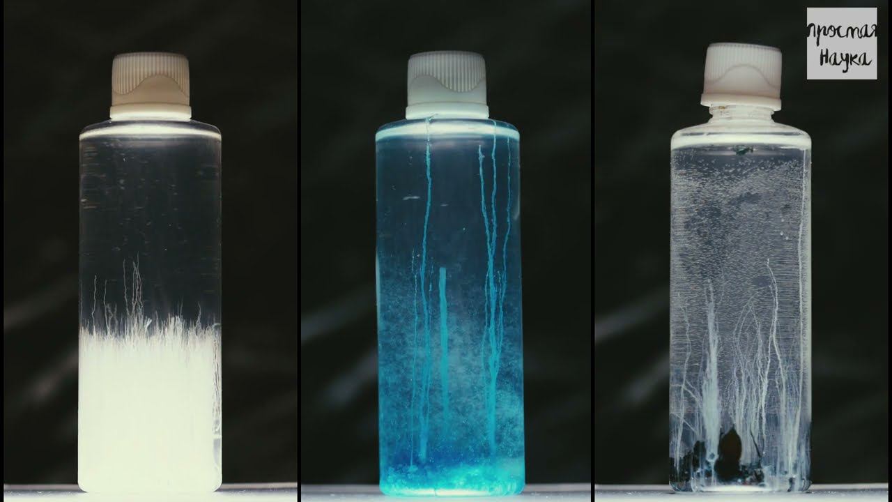 Коллоидный сад - набор для опытов Простая Наука - BlackBox смотреть онлайн