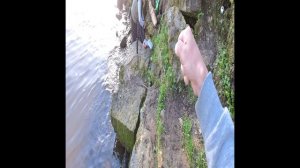 #рыбалка#shorts#жерех