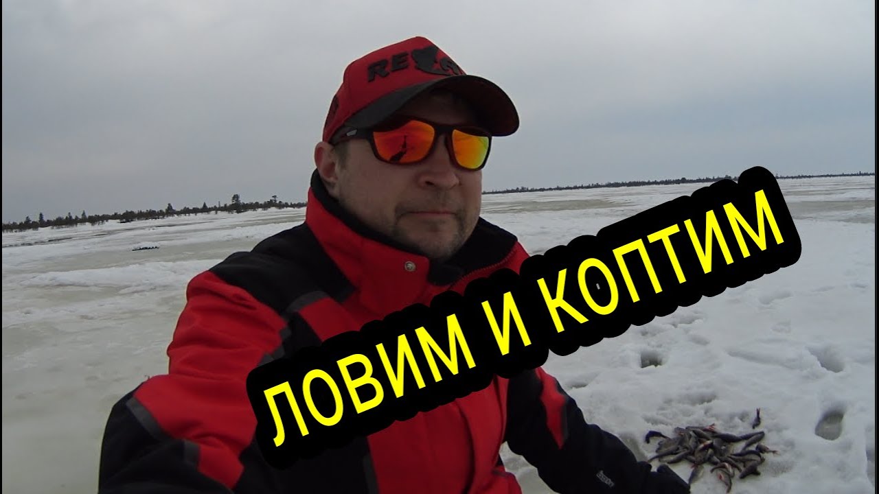 ЛОВИМ, КОПТИМ ОКУНЯ!!! _ #тайгахмао #окунь #копченныйокунь