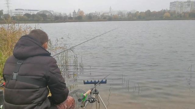 Окунь и рыбалка удалась #фидернаяРыбалка #озероСветиловское #Барановичах 0т4