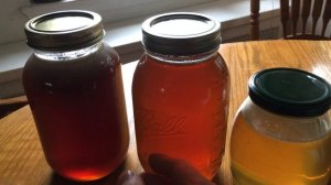 Пчеловодство в США, немного о мёде.