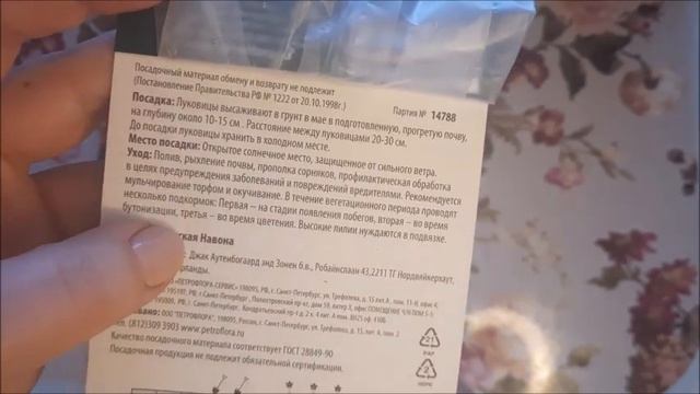 БОЛЬШОЙ ЗАВОЗ КЛУБНЕВЫХ ЦВЕТОВ В СВЕТОФОР, КУПИЛА ЛИЛИИ РАЗНЫХ ЦВЕТОВ.