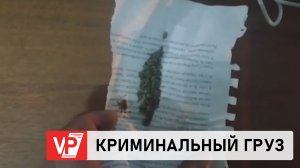 ЖИТЕЛЬ КАЛМЫКИИ ЗАДЕРЖАН В ВОЛГОГРАДЕ ПО ПОДОЗРЕНИЮ В НЕЗАКОННОМ ХРАНЕНИИ НАРКОТИКОВ