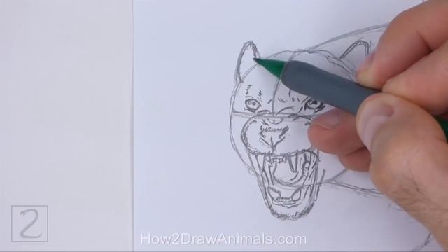 How to Draw a Black Panther смотреть онлайн