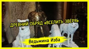 ДРЕВНИЙ ОБРЯД «ВСЕЛИТЬ ЗВЕРЯ». ВЕДЬМИНА ИЗБА ▶️ ИНГА ХОСРОЕВА