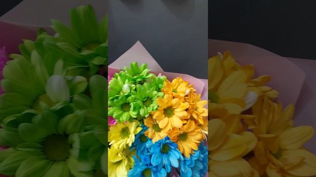 Хризантема разноцветная Summer mix #хризантема #flowers смотреть онлайн