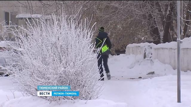 Бездомные псы наводнили Тюменский район смотреть онлайн