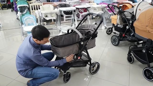 Детская коляска-трансформер Babyhit Winger 2 в 1