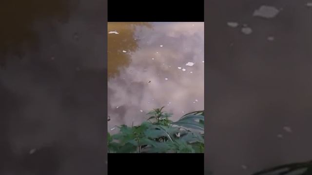 крушма смотреть онлайн