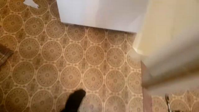 Холодильник Мир Кшд270/80.Не закрывается дверь в морозилке смотреть онлайн