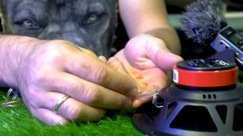 Новинка в начальном SQ: ORIS TYPE 1