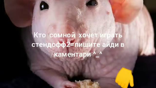 Кто сомной будет играть???