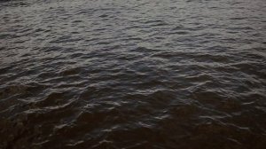 Артём и Татьяна, 16.07