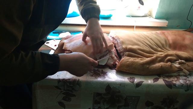 Разделка свиньи ( Пол туши ) Butchering a pig ( Carcass floor )