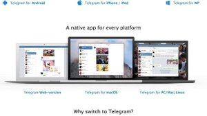 TELEGRAM: КАК СОЗДАТЬ И РАСКРУТИТЬ КАНАЛ. Инструкция и обучающий курс.