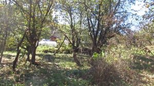 Сучье вымя!