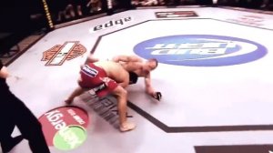 Лучшие накауты в боях без правил