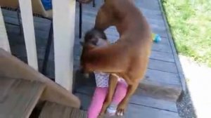 Собаки охраняют детей Подборка