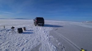 Байкальская рыбалка на омуля состоялась Ловистые мухи