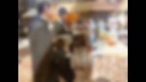 Ярмарка меда открылась в Калуге