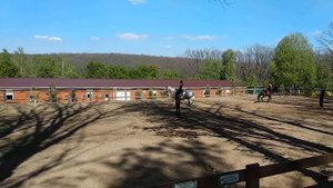 Как объезжать лошадь