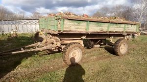 Уборка кормовой и столовой свёклы 2019-2020 годы