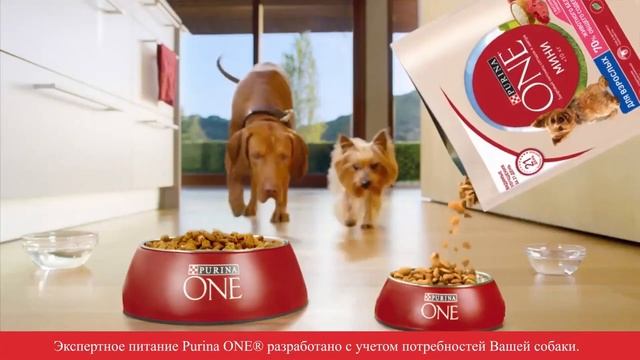 Сухой корм для собак Purina ONE смотреть онлайн