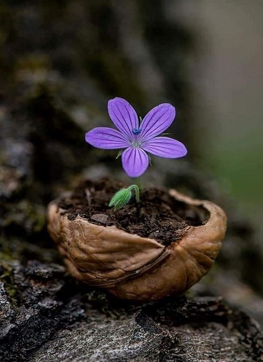 Хорошего Дня и Отличного Настроения! Самое Красивое Пожелание смотреть онлайн