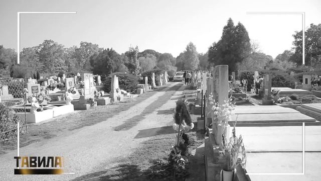 " Тавилан " нэвтрүүлэг /Унгарт төгсөлийн дугаар/ смотреть онлайн