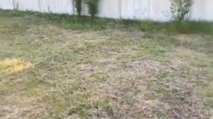 Отдых с палатками. КЕМПИНГ НА МОРЕ.  Делим территорию)Жильё на море. Сезон 2023 на Авто Голубицкая.