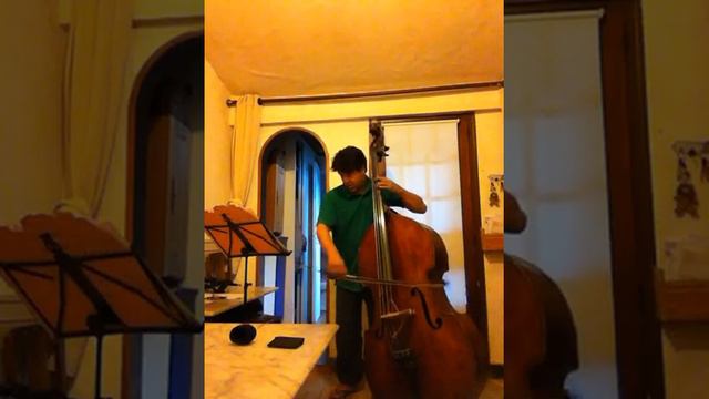 BACH Allemande 1013 flute (arr.Mauricio ROMERO) смотреть онлайн