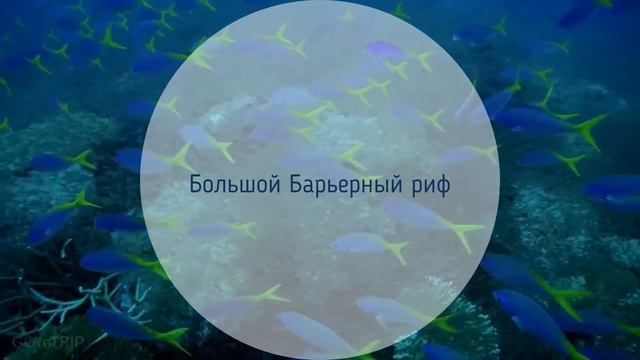 За четверть цены! Морские круизы из Австралии по островам Тихого океана, Барьерный риф где-то рядом