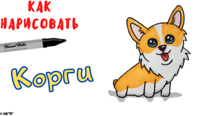Как Нарисовать Корги