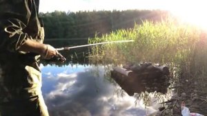 Ловля На Фидер В Карелии