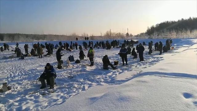 Рыбалка зимой или пингвины на льду.Honor 7x смотреть онлайн