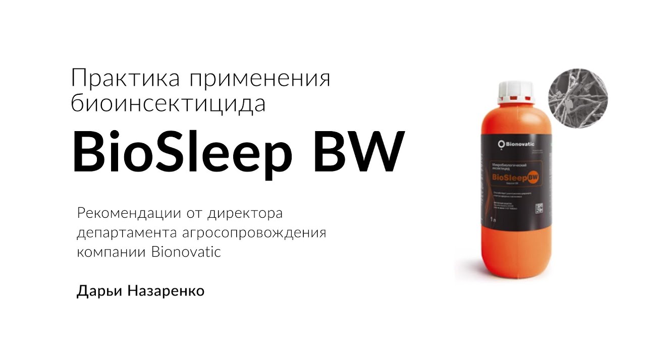 Практика применения биоинсектицида BioSleepBW