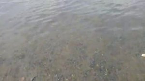 Пляж на озере Кожакуль, Метлино