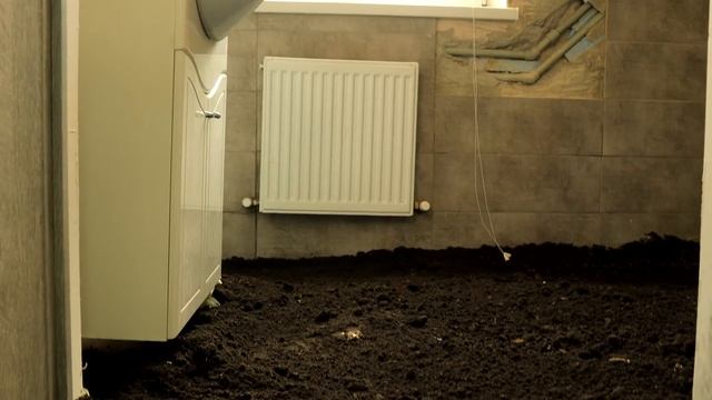 ПОСАДИЛ ГАЗОН В КОМНАТЕ ! смотреть онлайн