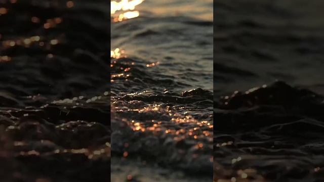 Теплый привет из Геленджика! Для вас, друзья! ?
