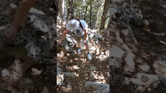 Турция ?? Кемер,пеший подъем в гору тахталы #турция#кемер смотреть онлайн