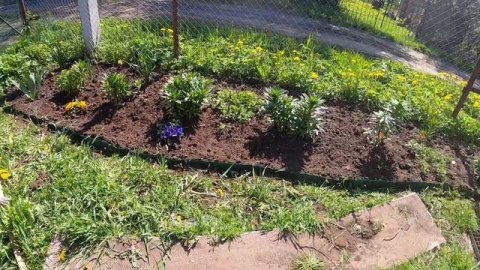 ДАЧА 21 МАЯ 2022г. #дача #влог #обзор