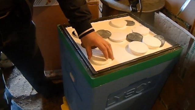 СРАВНЕНИЕ УЛЬЕВ смотреть онлайн