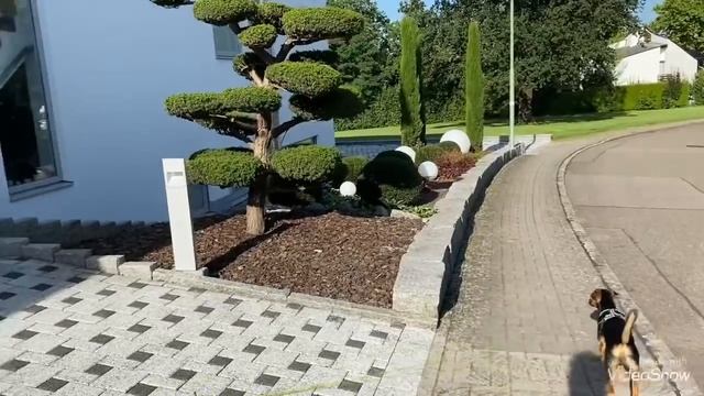 ?На прогулке с Барни?Педикюр и маникюр ?Мои украшения ручной работы Olga Kirchgessner смотреть онлайн