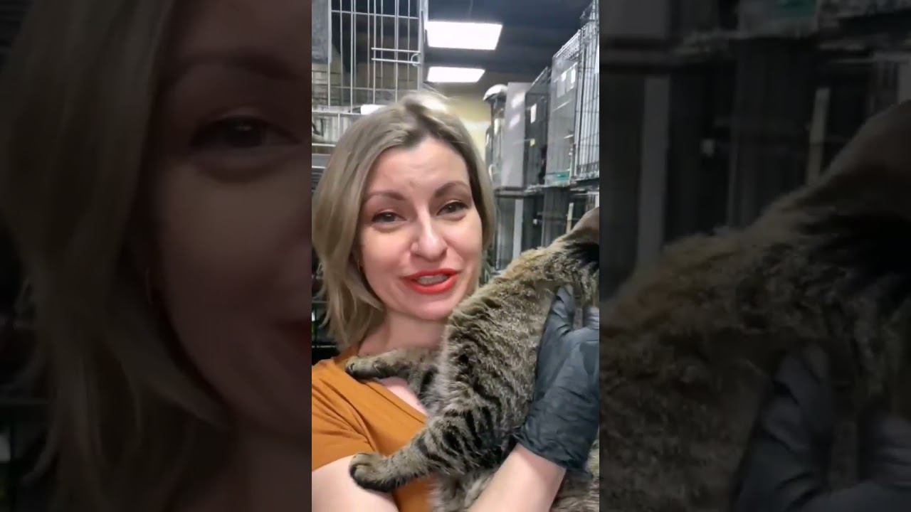 -Морковный нос, усы и ветпаспорт- мои документы!- Сказал Кротик, демонстрируя миру шпротную красоту