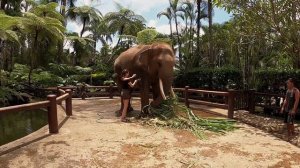 Парк слонов на Бали, Индонезия.