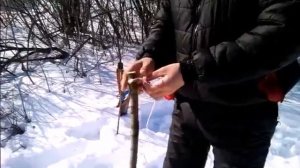 Лук из дерева(легко).