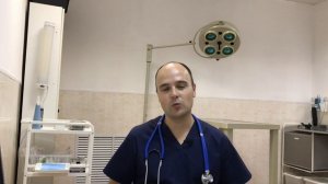 Почему кошка перестала ходить в лоток, кошка ходит мимо лотка
