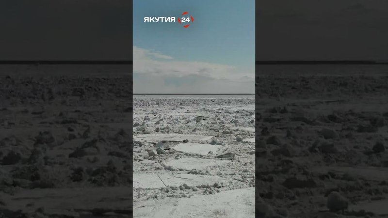 Ледоход близко - чует вся Якутия/Ice drift is close - all of Yakutia can feel it #якутия #россия