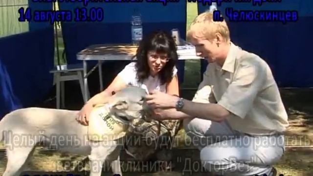 14.08.2010 - Парк Челюскинцев, акция «Подари им дом!»
