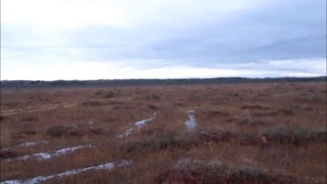 вездеход трофи 2017